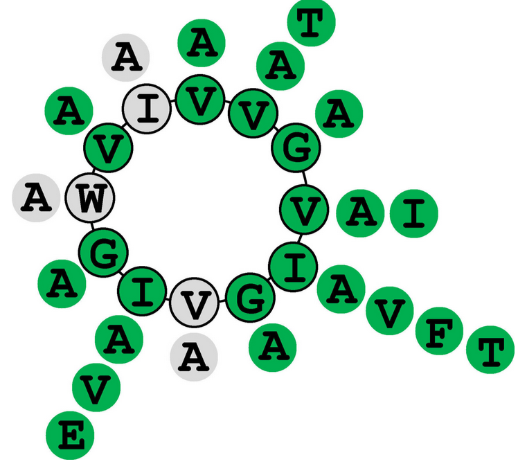 Project 4 - Omphalotin mutagenesis