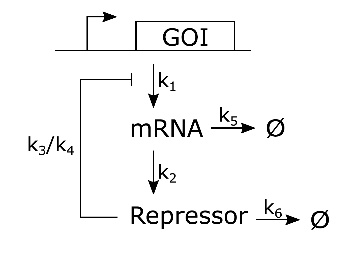 Project 2 - Genetic circuits